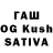 Псилоцибиновые грибы MAGIC MUSHROOMS EvgeshiN