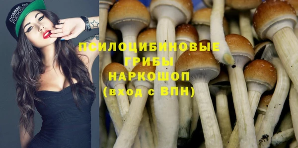spice Кулебаки