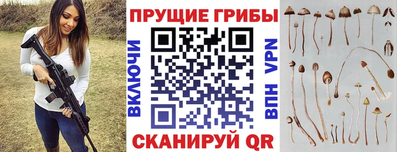 Псилоцибиновые грибы Magic Shrooms  Урус-Мартан 