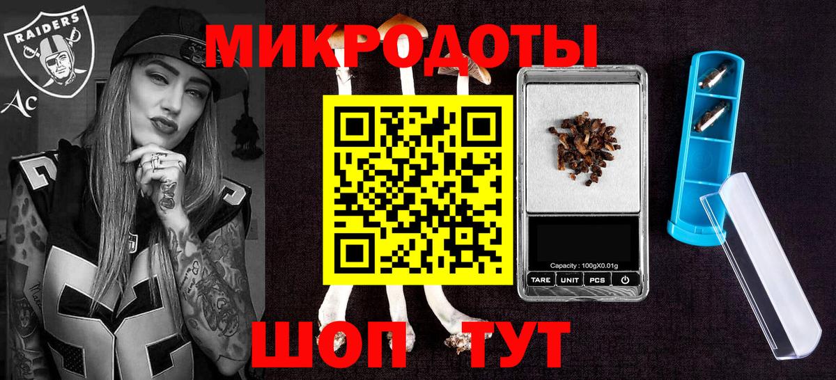 Галлюциногенные грибы Psilocybine cubensis  Урус-Мартан 