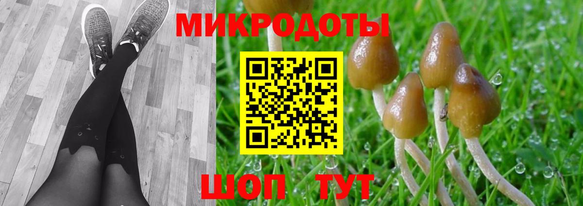 Псилоцибиновые грибы мухоморы  Вход с VPN  цена   Урус-Мартан 