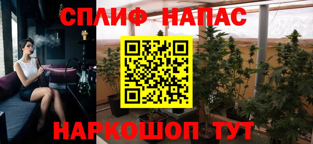 Бошки Шишки MAZAR Урус-Мартан